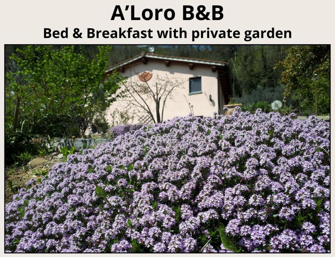 A'Loro B&B Terranuova Bracciolini Exterior foto